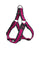 Raspberry Pink
