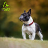 DOCO® VARIO O-Ring Nylon Dog Collar with Reflective Stitching