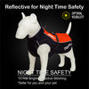 Dog Reflective Raincoat