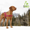 DOCO® VARIO Neoprene Dog Harness Reflective