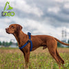 DOCO® Athletica Air Mesh Step-in Dog Harness