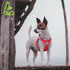 DOCO® Athletica Net mesh QUICK FIT Dog Harness