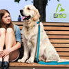 DOCO® Jelly Bean Nylon Dog Leash 6ft