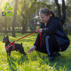 DOCO® Stitched Mesh Handle Dog Leash