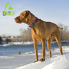 DOCO® VARIO O-Ring Nylon Dog Collar with Reflective Stitching