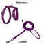 DOCO® Signature Nylon Cat Harness + Leash Combo