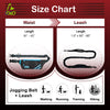 The DOCO® Jogging Belt + Bungee Leash