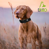 DOCO® Signature Nylon Dog Collar