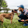 DOCO® Signature Nylon Dog Collar