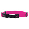 The Quiet Nylon Dog Collar