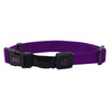 DOCO® The Quiet Nylon Dog Collar