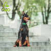 DOCO® AirTag D-Ring Collar