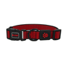 DOCO® Martini Bean Collar - www.docopet.com