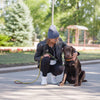 DOCO® Solar Mesh Bungee Leash - www.docopet.com