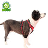 DOCO®VERTEX FRONT RANGE HARNESS - 3M Reflective - www.docopet.com