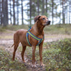DOCO® Lunar Air Step in Harness - www.docopet.com