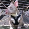 DOCO® Athletica QUICK FIT Harness - www.docopet.com