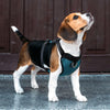 DOCO® X-Lite Front Range Mesh Harness - www.docopet.com