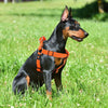 DOCO® Puffy Mesh Step-In Harness - www.docopet.com