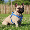 DOCO® Signature Step-In Harness - www.docopet.com