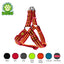 DOCO® Solar Step in Harness - www.docopet.com