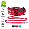 DOCO®Jogging Belt with Bungee Leash Hands Free Dog - www.docopet.com