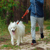 DOCO® Solar Mesh Short Bungee Leash - www.docopet.com