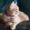DOCO® Puffy Cat Collar - www.docopet.com
