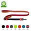 DOCO® Solar Mesh Bungee Dog Leash