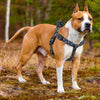 DOCO® LOCO Harness with Cool Printing - www.docopet.com