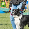 DOCO® Solar Mesh Bungee Leash - www.docopet.com