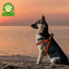 DOCO® Solar Step in Harness - www.docopet.com