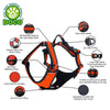 DOCO®VERTEX FRONT RANGE HARNESS - 3M Reflective - www.docopet.com