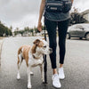 DOCO®Jogging Belt with Bungee Leash Hands Free Dog - www.docopet.com