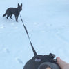 DOCO® ALL DAY ADVENTURE RETRACTABLE LEASH - www.docopet.com