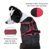 DOCO®VERTEX FRONT RANGE HARNESS - 3M Reflective - www.docopet.com