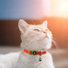 DOCO® Puffy Cat Collar - www.docopet.com