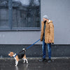 DOCO® 4ft Shock Absorbing BUNGEE Leash - www.docopet.com