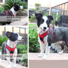 DOCO®VERTEX FRONT RANGE HARNESS - 3M Reflective - www.docopet.com