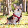 DOCO® Puffy Mesh Step-In Harness - www.docopet.com