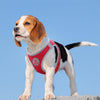 DOCO® Athletica QUICK FIT Harness - www.docopet.com