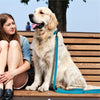 DOCO® Jelly Bean leash 5ft - www.docopet.com