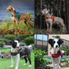 DOCO®VERTEX Power Harness - www.docopet.com