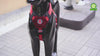 DOCO® VARIO  Chest Plate Dog Harness w/Neoprene