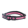 DOCO® Lunar Mesh Collar - www.docopet.com