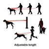 DOCO® Athletica Easy-Snap™ Air Leash - 6ft - www.docopet.com