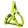Safety Lime