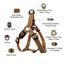 DOCO® LOCO Harness with Cool Printing - www.docopet.com