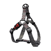DOCO® LOCO Harness with Cool Printing - www.docopet.com