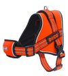 DOCO®VERTEX Power Harness - www.docopet.com